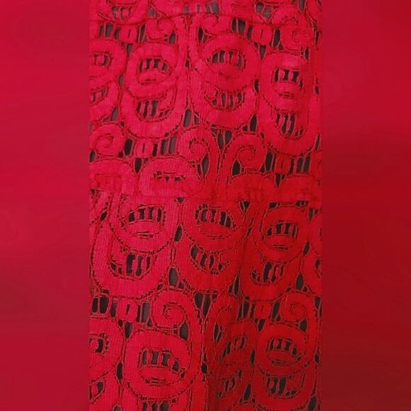 Anne Klein Red/Orange Lace Dress - Picture 8 of 8